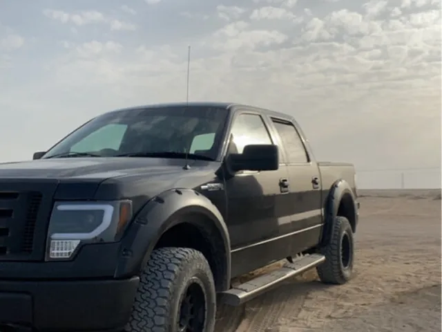صورة 2009 فورد F-150