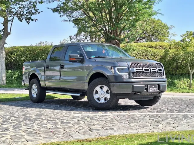 صورة 2010 فورد F-150