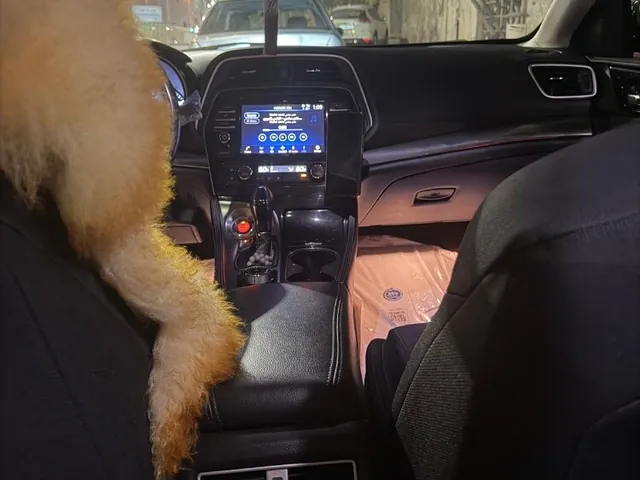 Photo of 2020 Nissan Maxima