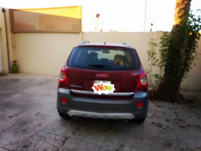صورة 2009 جي إم سي تيرين