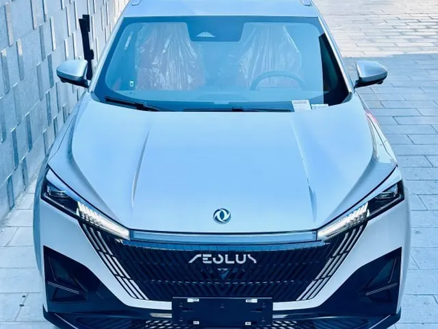 Photo of 2025 Dongfeng Mage