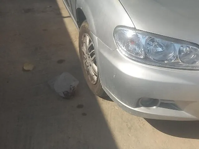 صورة 2010 نيسان صني