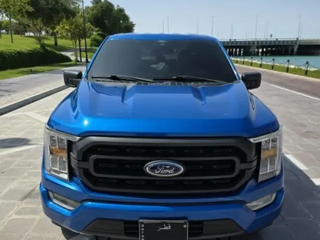 صورة 2021 فورد F-150 FX4