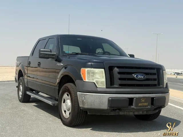صورة 2009 فورد F-150 FX4