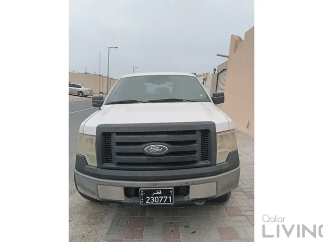 صورة 2009 فورد F-150 FX4