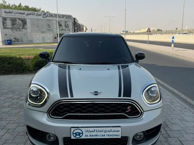 صورة 2020 ميني كاونتري مان