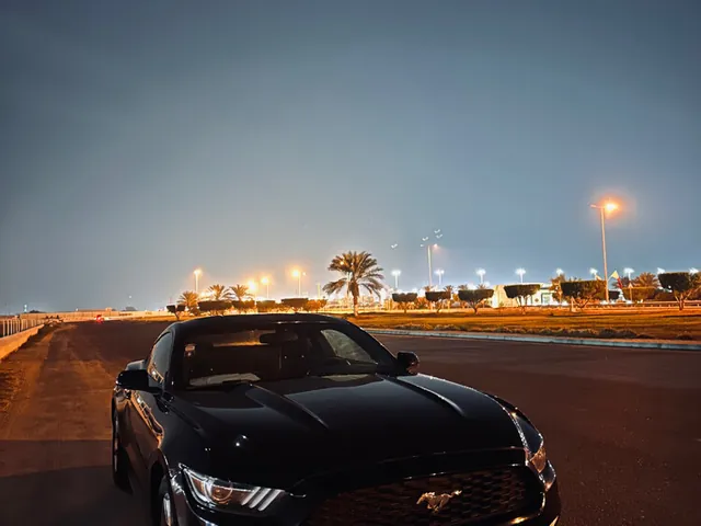 صورة 2015 فورد موستانج GT