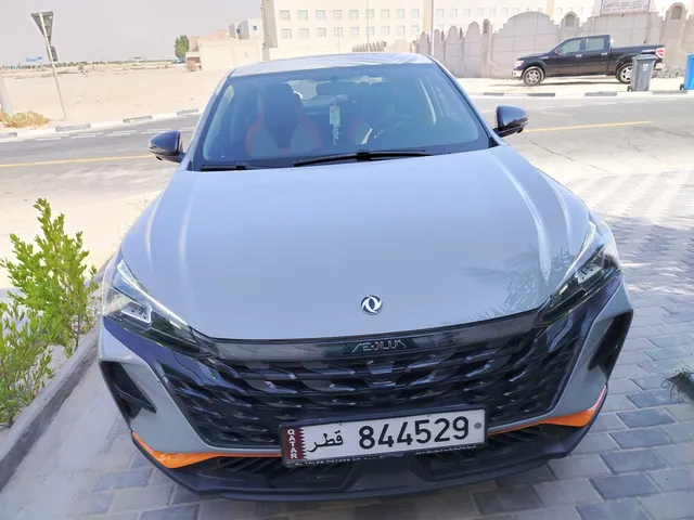 صورة 2025 دونغفنغ شاين