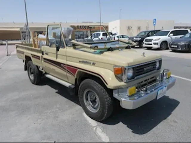 صورة 1993 تويوتا لاند كروزر LX