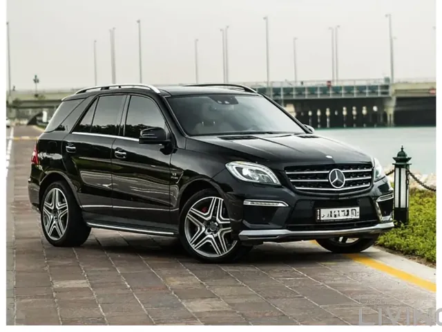 Photo of 2014 Mercedes-Benz M ML 63 AMG