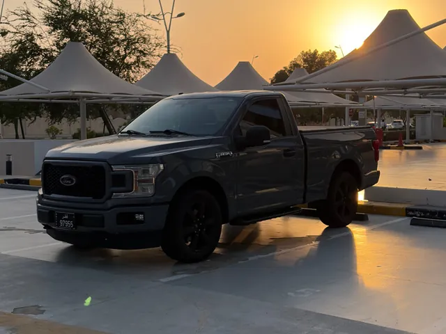 صورة 2019 فورد F-150 FX4
