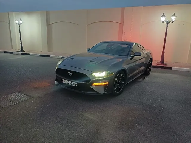 صورة 2021 فورد موستانج إيكوبوست
