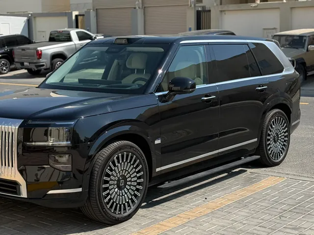 صورة 2025 زيكر 009