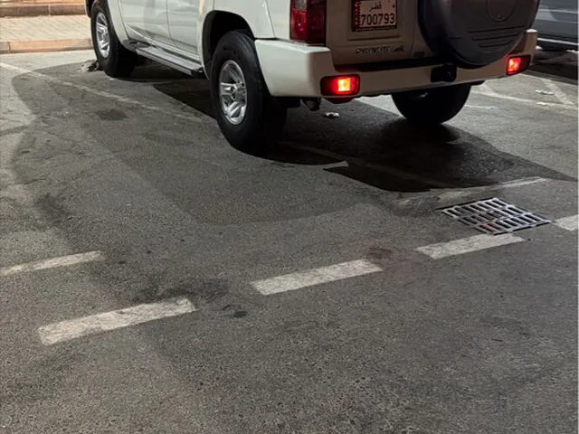 Photo of 2021 Nissan Patrol Safari