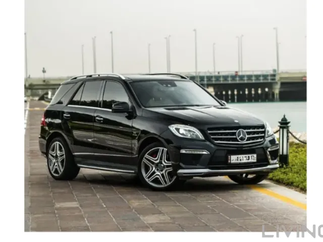 صورة 2014 مرسيدس-بنز M ML 63 AMG