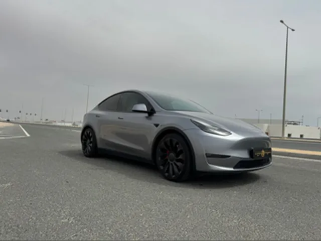 صورة 2024 تيسلا Model Y بيرفورمانس