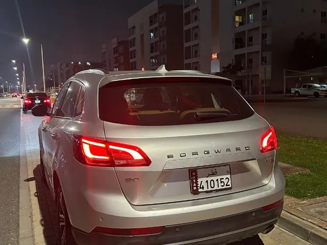 صورة 2018 بورغوارد BX7