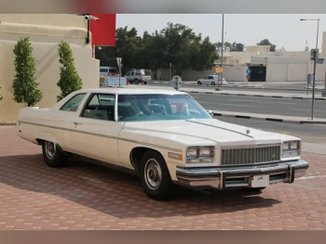 صورة 1976 بويك إلكترا 455