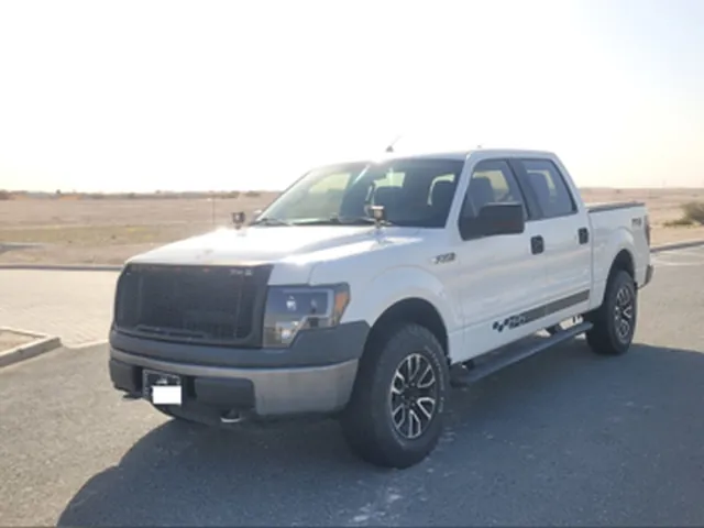 صورة 2011 فورد F-150