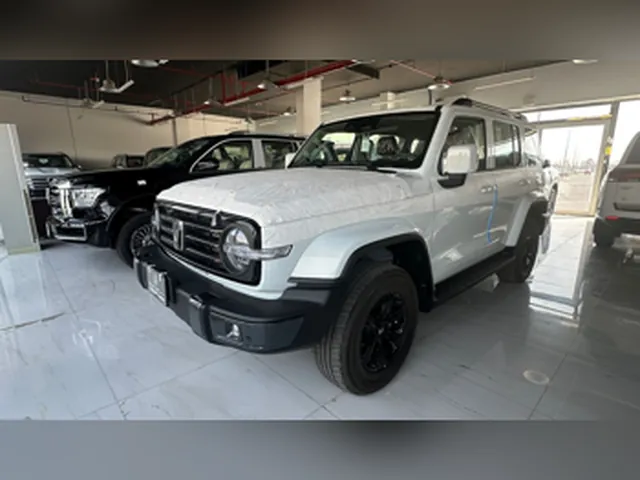 صورة 2026 تانك 300