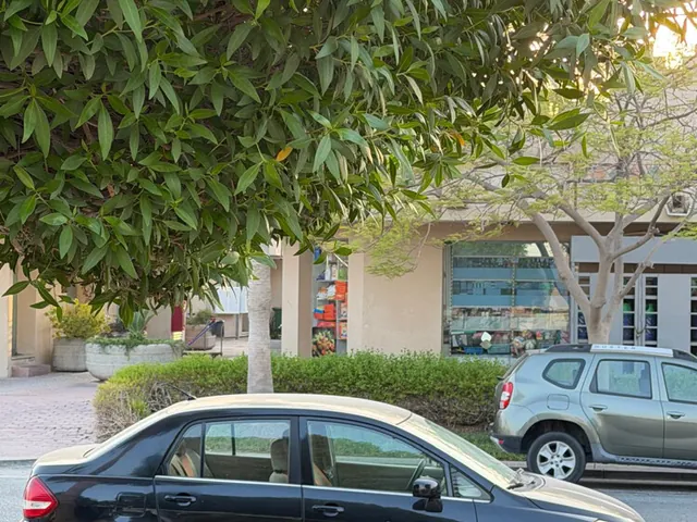 صورة 2007 نيسان تيدا
