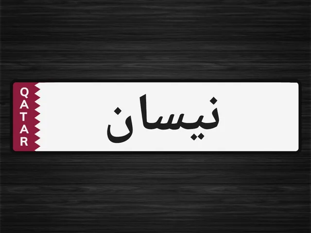 صورة 2009 نيسان صني