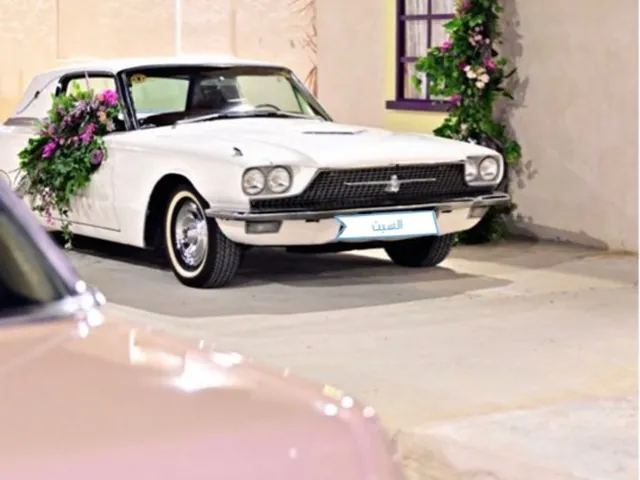 Photo of 1965 Ford Thunderbird