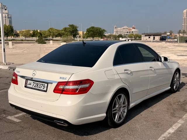 صورة 2010 مرسيدس-بنز E 300