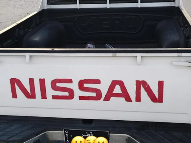 Photo of 2010 Nissan Pickup