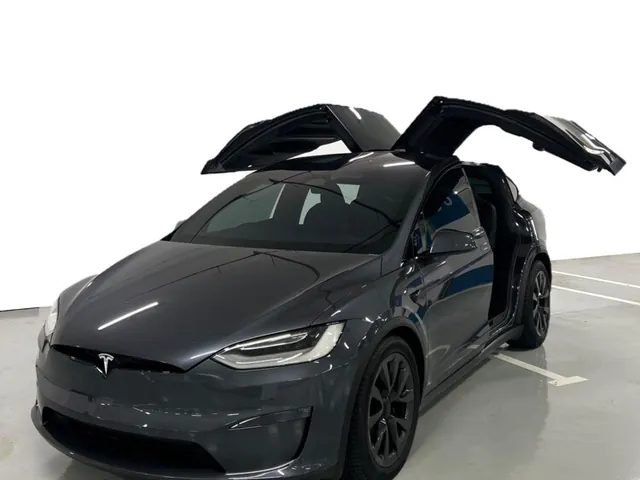 صورة 2023 تيسلا Model X 100D
