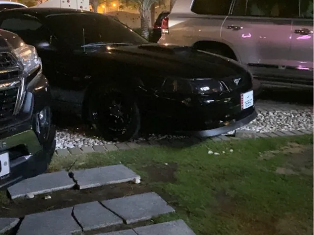 صورة 2001 فورد موستانج GT