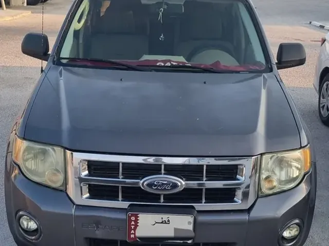 Photo of 2010 Ford Escape SE