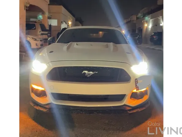 Photo of 2019 Ford Mustang GT