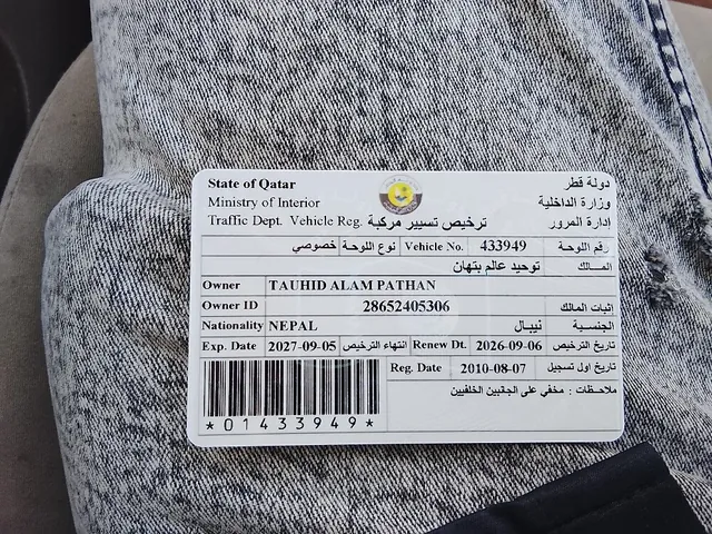 صورة 2010 نيسان صني