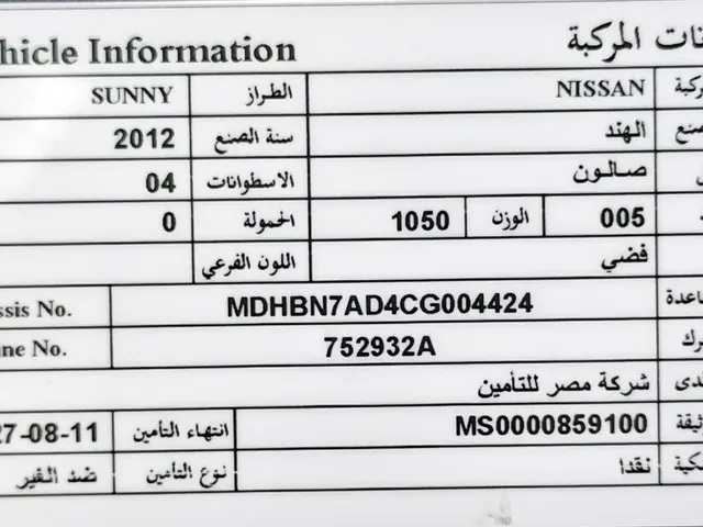 صورة 2013 نيسان صني