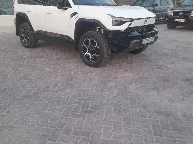 صورة 2025 دونغفنغ إم-هيرو
