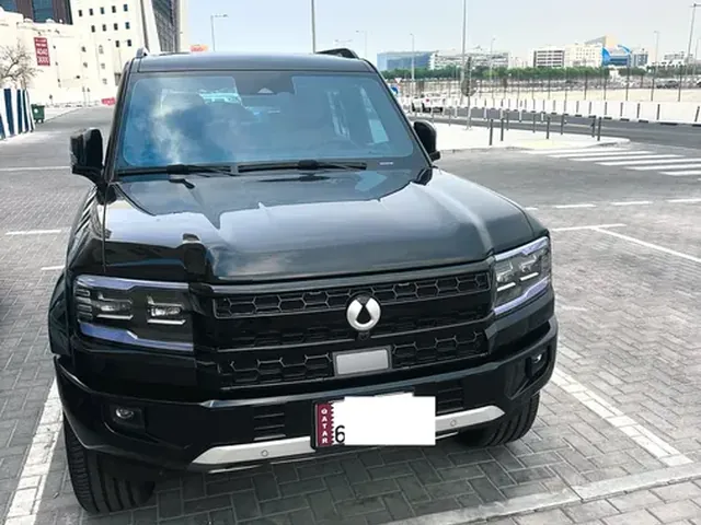 صورة 2026 دينزا B5 فلاغشيب