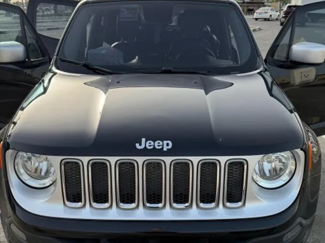 صورة 2019 جيب رينيجيد