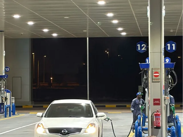 صورة 2008 نيسان ألتيما 2.5 S