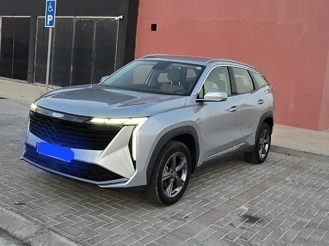 صورة 2025 جيلي سيتي راي