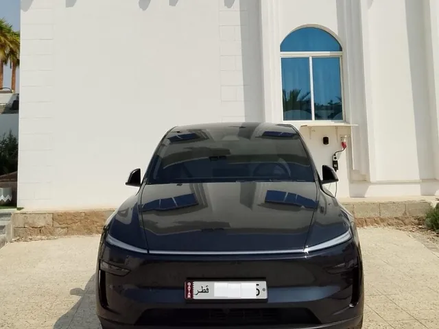 صورة 2025 تيسلا Model Y بيرفورمانس