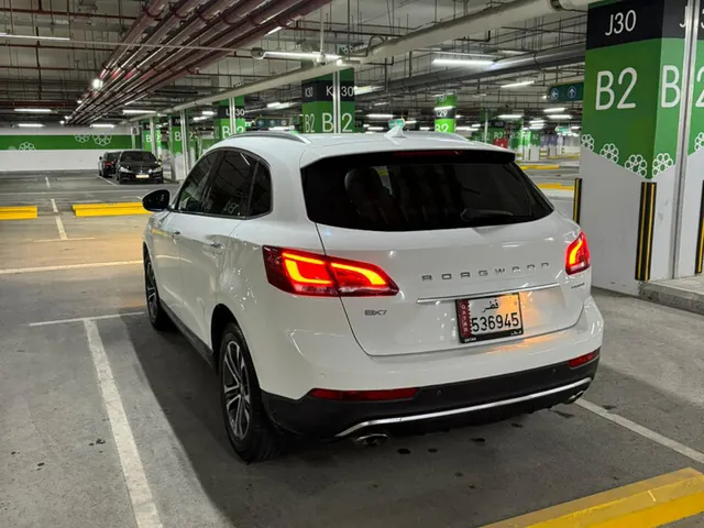 صورة 2018 بورغوارد BX7