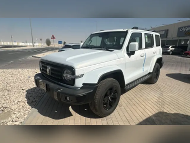 صورة 2026 تانك 300