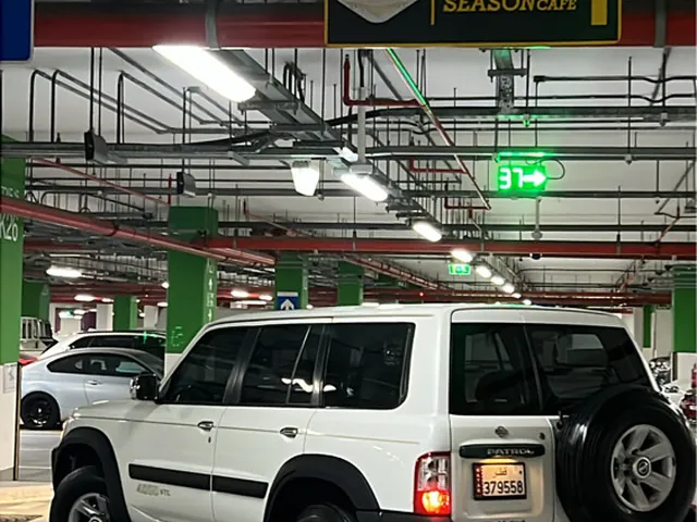 Photo of 2004 Nissan Patrol GL