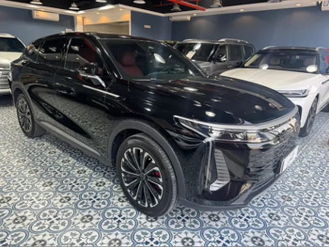Photo of 2024 Exeed RX 400T Flagship