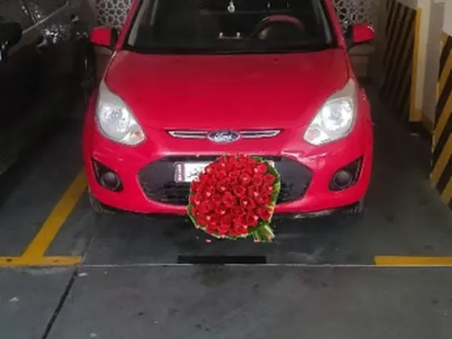 Photo of 2013 Ford Figo