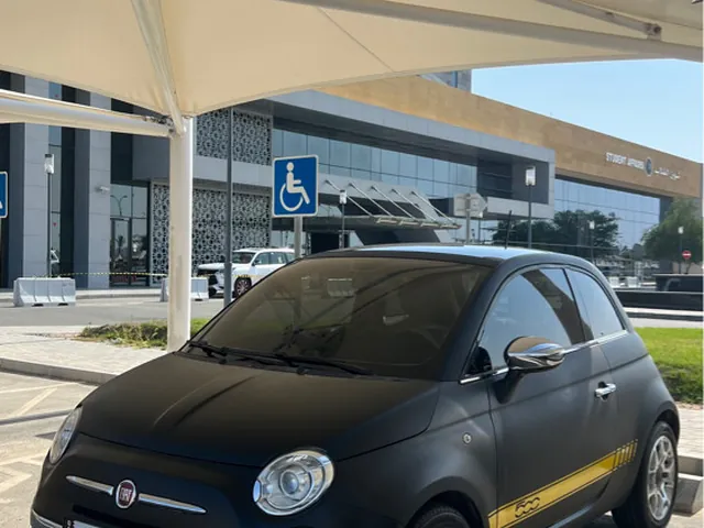 Photo of 2014 Fiat 500 Rockstar