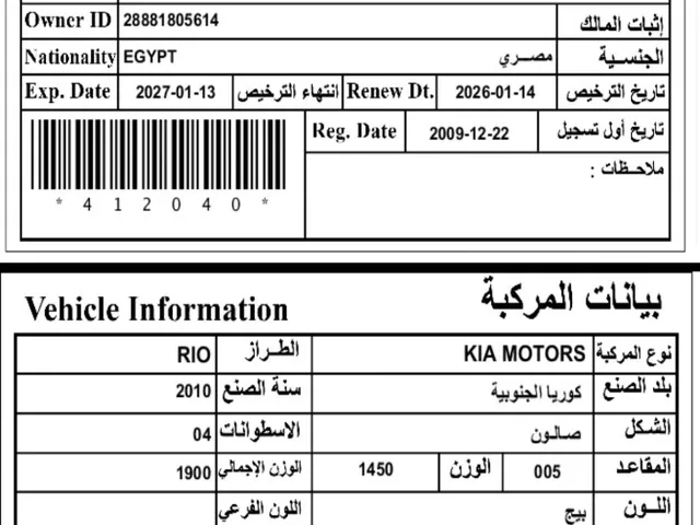 صورة 2010 كيا ريو