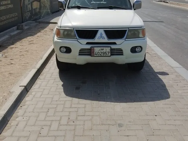 صورة 2008 ميتسوبيشي ناتيفا