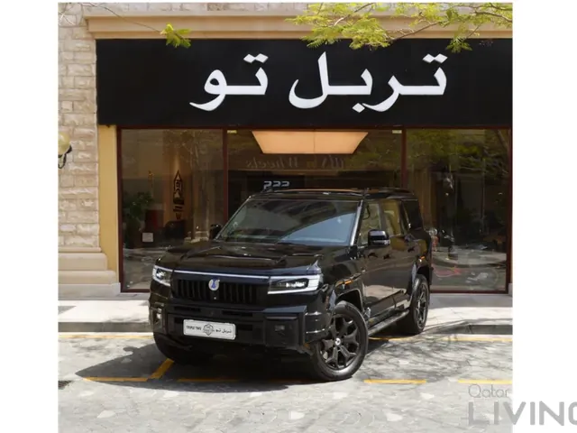 صورة 2026 دينزا B8 فلاجشيب